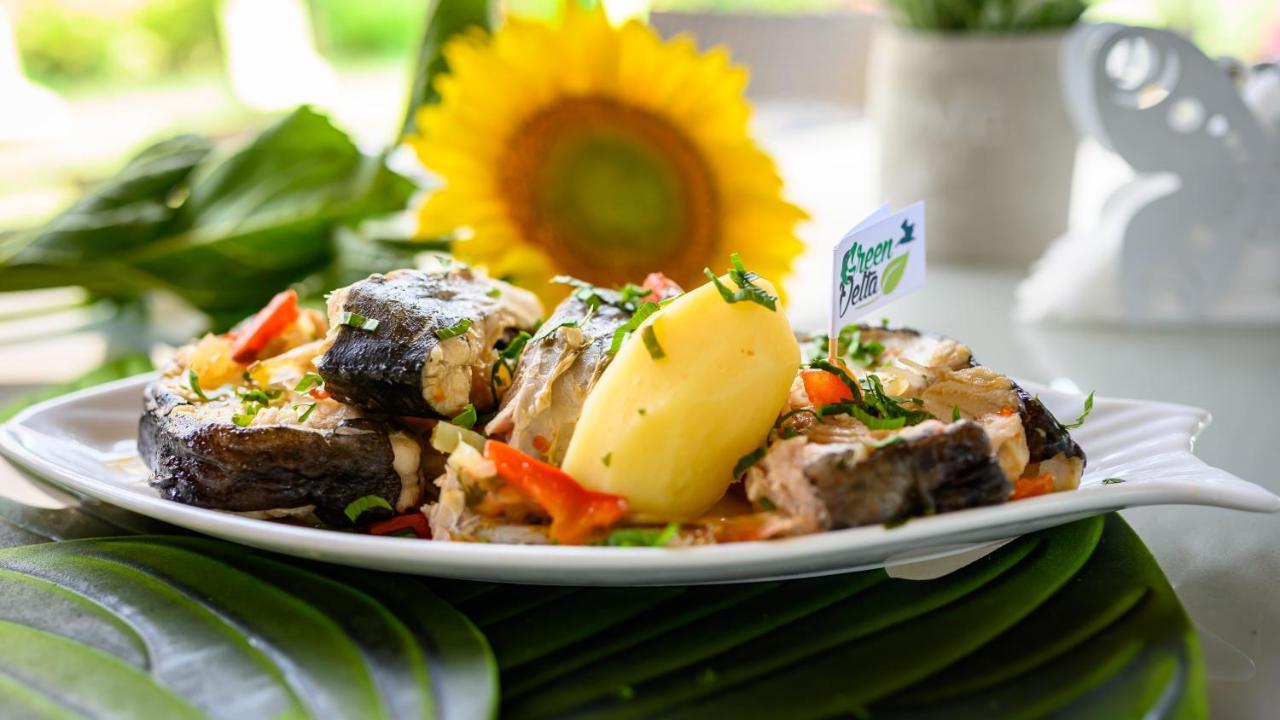 Green Delta Hotel Murighiol Ngoại thất bức ảnh